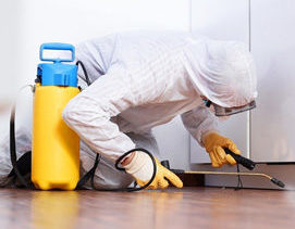 Cleaning Services