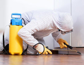 Cleaning Services