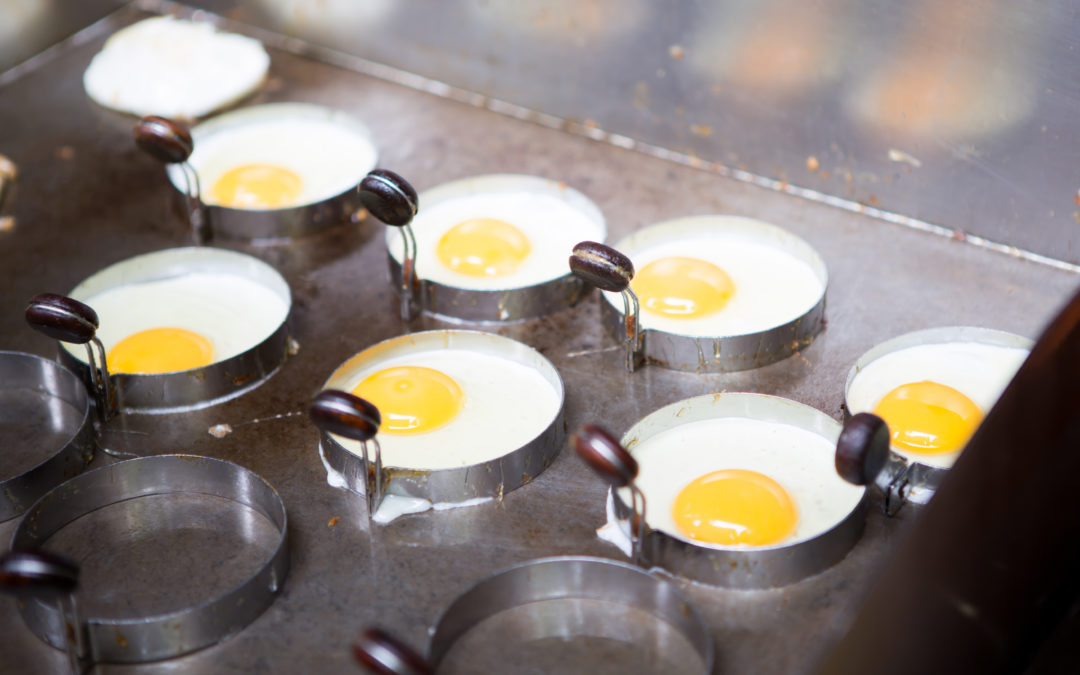 Fried Eggs Need Grease Trap Cleaning